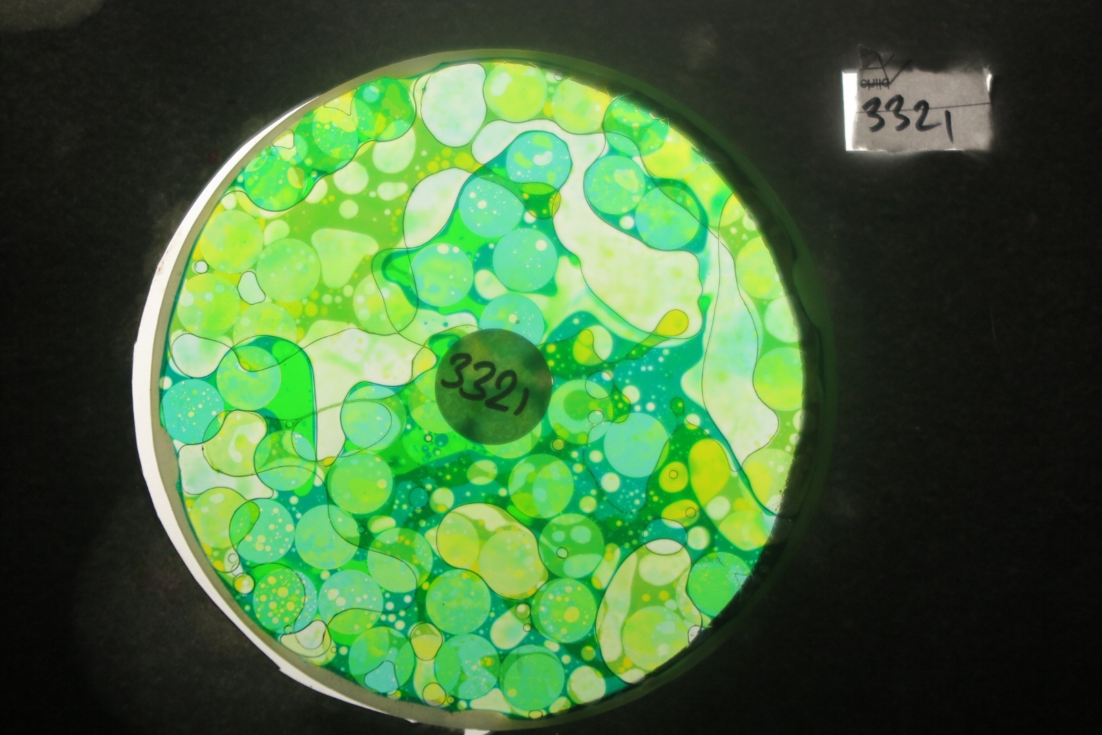 BV3321 bubble vision oil wheel